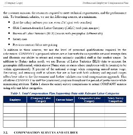 Professional Employee Compensation Plan Template