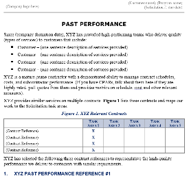 Past Performance Section Template