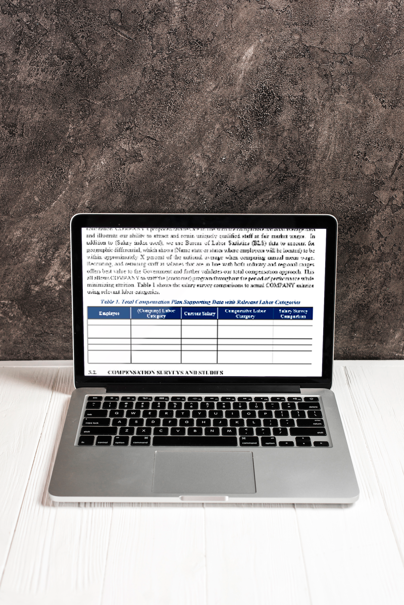 Professional Employee Compensation Plan Template