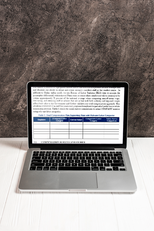 Professional Employee Compensation Plan Template